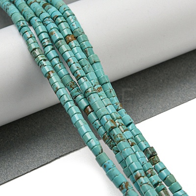 Natural Turquoise Beads Strands G-C084-D10-02-1