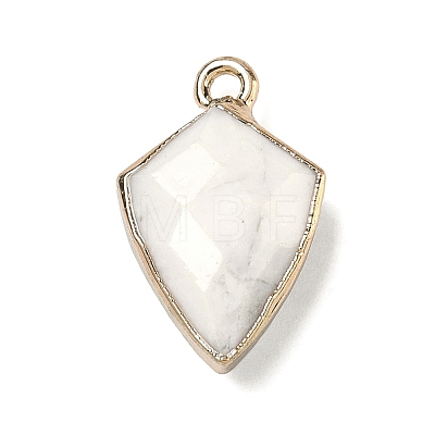 Natural Howlite Pendants G-K422-01G-09-1