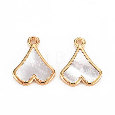 Natural Shell Charms KK-T060-75-RS-1