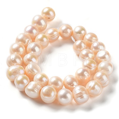 Natural Cultured Freshwater Pearl Beads Strands PEAR-E019-13-1