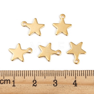 304 Stainless Steel Charms STAS-G190-27G-A-1
