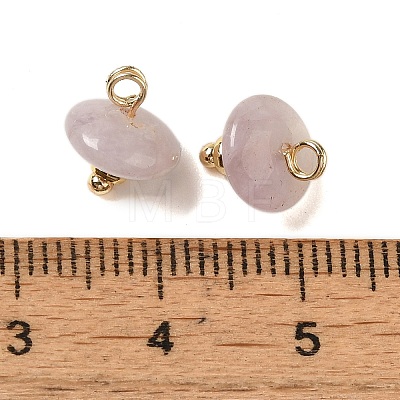 Natural Lepidolite Rondelle Charms with Rack Plating Brass Loops G-G110-05B-09-1