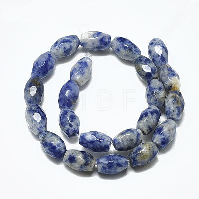 Natural Blue Spot Jasper Beads Strands G-S357-A06-1