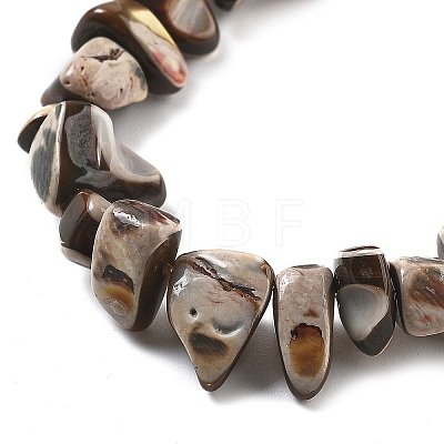 Dyed Natural Trochus Shell Beads Strands BSHE-Z006-01B-1