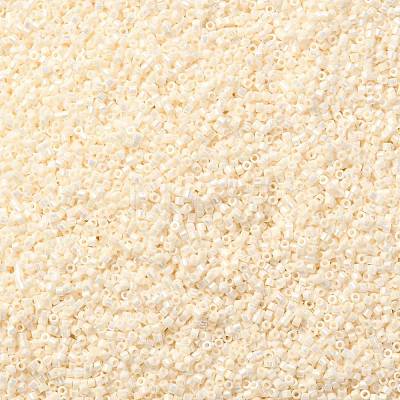 Cylinder Seed Beads SEED-H001-B04-1