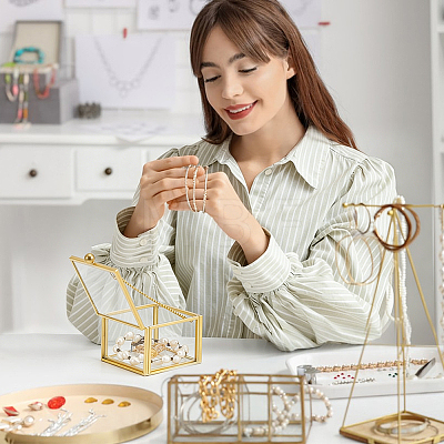 Transparent Glass Jewelry Organizer Display Cases with Metal Frame ODIS-WH0025-357A-1