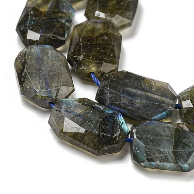 Natural Labradorite Beads Strands G-P544-B08-01-1