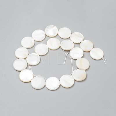 Natural Freshwater Shell Beads BSHE-I011-01A-02-1