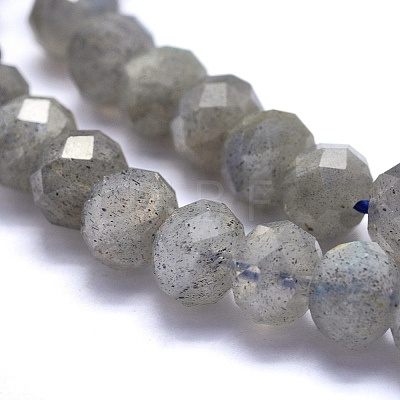 Natural Labradorite Beads Strands G-O170-59C-1