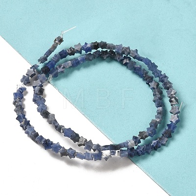 Natural Sodalite Beads Strands G-G085-B18-01-1
