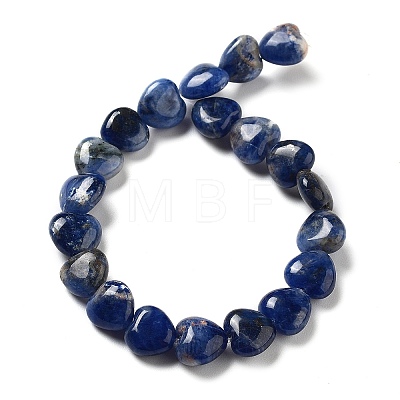 Natural Sodalite Beads Strands G-P528-C09-01-1