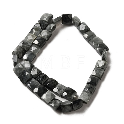 Natural Eagle Eye Stone Beads Strands G-C109-A15-02-1