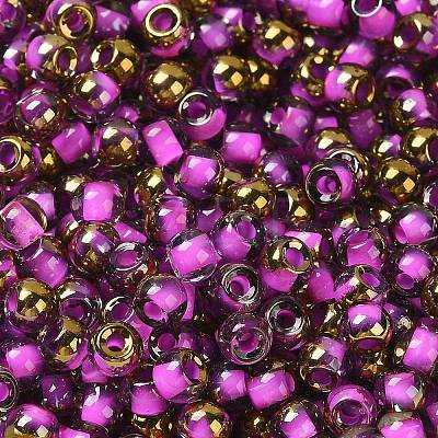 Glass Seed Beads SEED-H002-B-D207-1