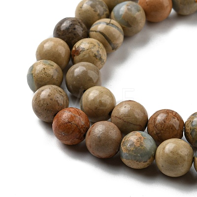 Natural Aqua Terra Jasper Beads Strands G-E444-14B-6mm-1