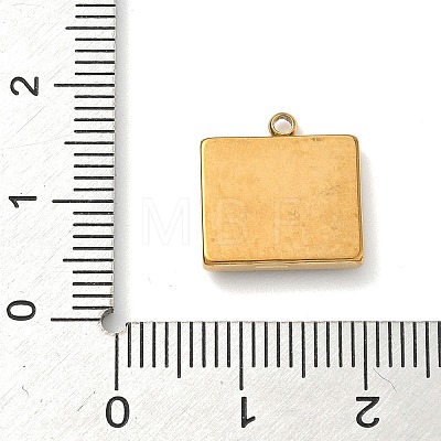 304 Stainless Steel Enamel Charms LS-STAS-I359-02G-04-1