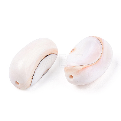 Natural Shell Beads X1-BSHE-TAC0003-03-1