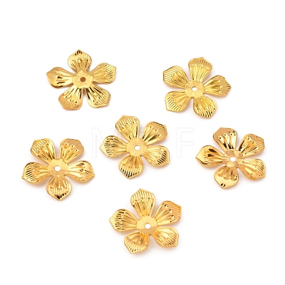 5-Petal Iron Bead Caps IFIN-WH0070-05G-1