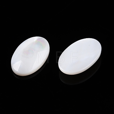 Natural White Shell Cabochons SSHEL-T017-06-1