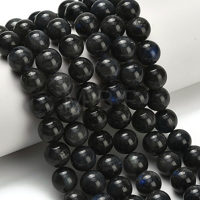 Natural Black Labradorite Beads Strands G-L642-B15-10mm-1