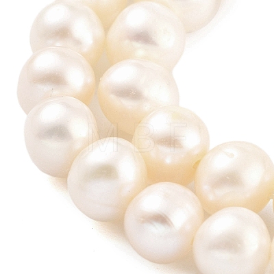 Natural Cultured Freshwater Pearl Beads Strands PEAR-C003-13F-1