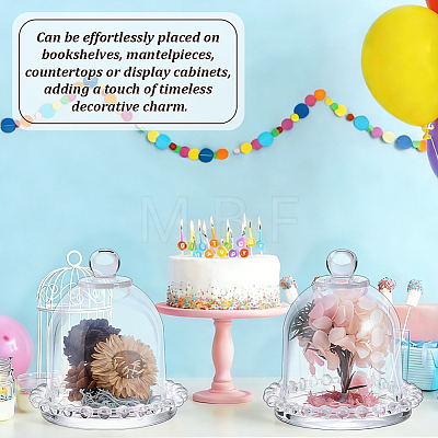 Glass Cake Tray with Dome AJEW-WH0481-557-1