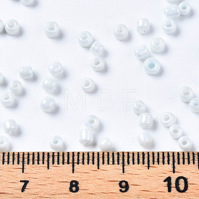 Glass Seed Beads SEED-S061-A-979-1