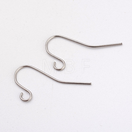 Tarnish Resistant 316L Surgical Stainless Steel Earring Hooks X-STAS-G229-05P-1