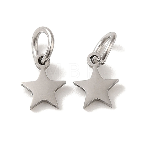 Non-Tarnish 201 Stainless Steel Charms STAS-E217-25A-P-1