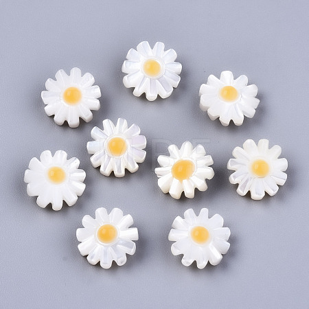 Natural White Shell Mother of Pearl Shell Beads SHEL-S266-13A-1