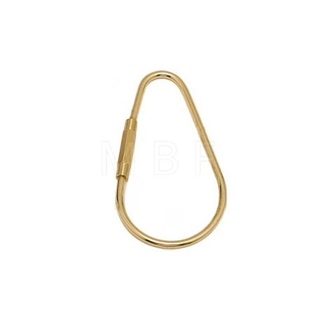 Brass Screw Carabiner Lock Charms KK-ZX025-66C-1