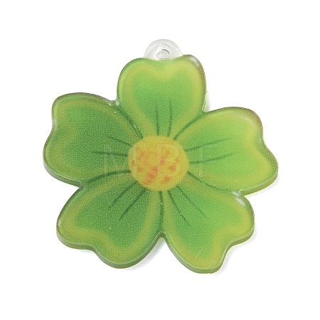 Printed Acrylic Pendants AC-CBADA31-07-1