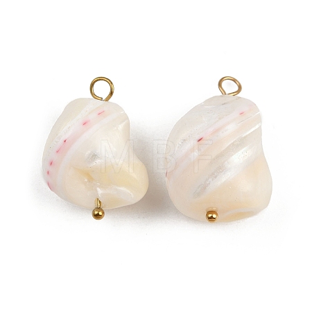 Natural Shell Nuggets Pendants X1-STAS-D378-30G-1
