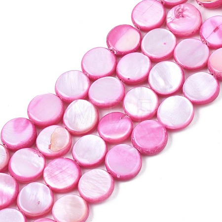 Freshwater Shell Beads Strands SHEL-T009-B16-03-1