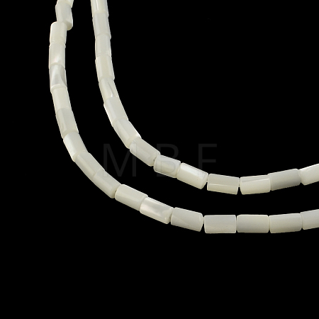 Column Natural Trochid Shell/Trochus Shell Beads Strands SSHEL-F290-26-1