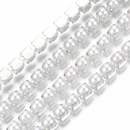 Brass Claw Chains CHC-Q012-SS16-01S-1
