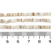 Natural Freshwater Shell Beads Strands X-BSHE-H109-13A-5