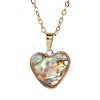 Natural Paua Shell Pendant Necklaces NJEW-JN05141-02-2