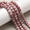 Natural Rhodonite Beads Strands G-F797-A07-01-1