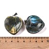 Natural Labradorite Pendants G-B085-17P-3