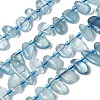 Natural Aquamarine Beads Strands G-P604-A23-01-2