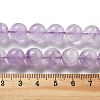 Natural Amethyst Beads Strands G-F306-11-10mm-4