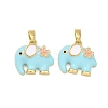 Brass Enamel Pendants KK-T001-04G-C-1