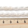 Natural Cultured Freshwater Pearl Beads Strands PEAR-P062-06F-5