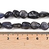 Natural Iolite Beads Strands G-C271-01-5