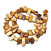 Natural Trochid Shell/Trochus Shell Beads Strands SHEL-S258-082-B09-2