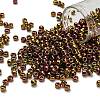 TOHO 6/0 Round Beads X-SEED-TR06-0514-1