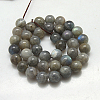 Natural Labradorite Beads Strands X-G-G212-6mm-23-2