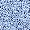 6/0 Glass Seed Beads SEED-L011-08A-23-3