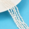 Natural Cultured Freshwater Pearl Beads Strands PEAR-P064-20E-02C-1