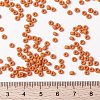 MIYUKI Round Rocailles Beads X-SEED-G008-RR2313-4